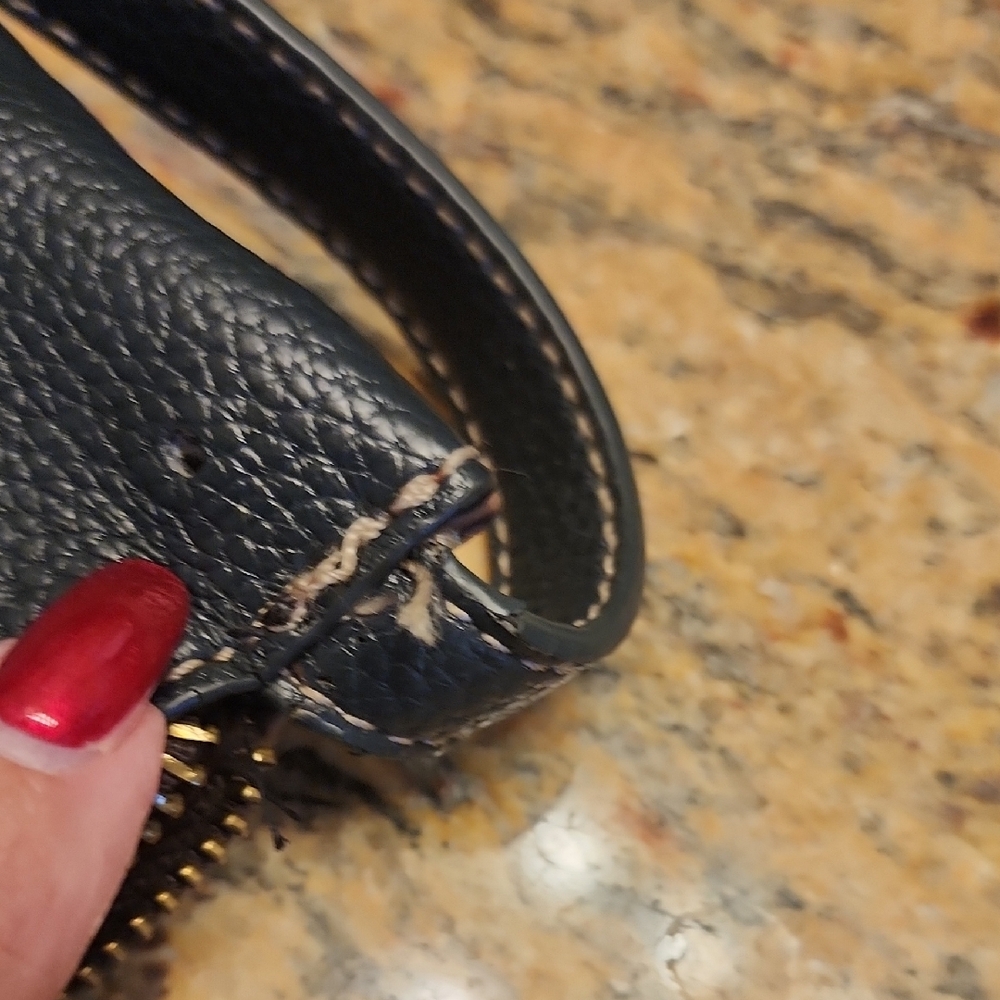 Chala Blue and Brown Crossbody Bag with Leaf and Dragonfly Accents - Picture 12 of 13
